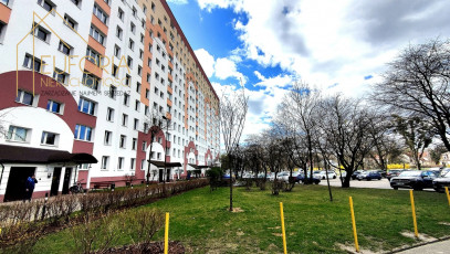 Mieszkanie Sprzedaż Łódź Łódź-Bałuty Julianowska